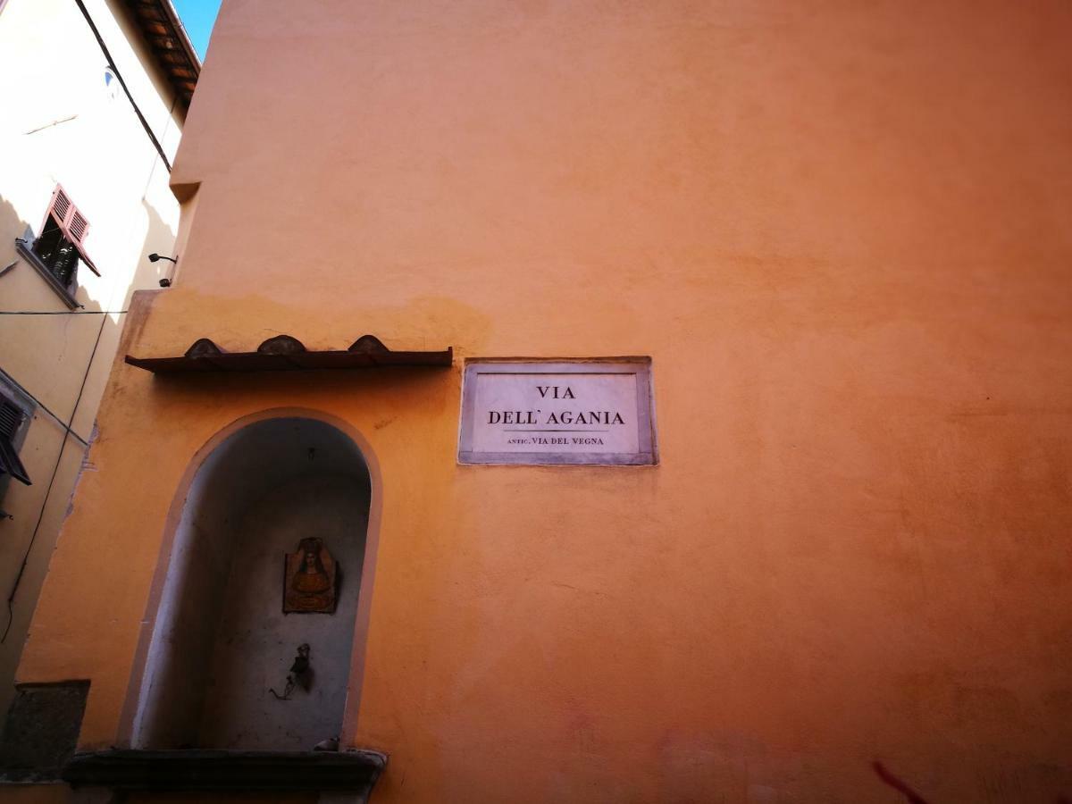 La Casina Dell'Agania Daire Arezzo Dış mekan fotoğraf